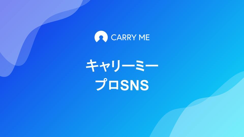 キャリーミーSNS運用