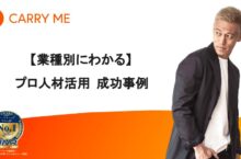 プロ人材活用事例の表紙画像