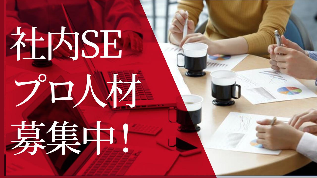 週1程度 業務委託 システムコンサルタントのプロ募集 金融関連などフィンテックの情報発信の企業 ビジネス界にもプロ契約を キャリーミー